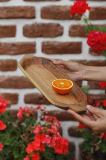 سینی پذیرایی دسته دار